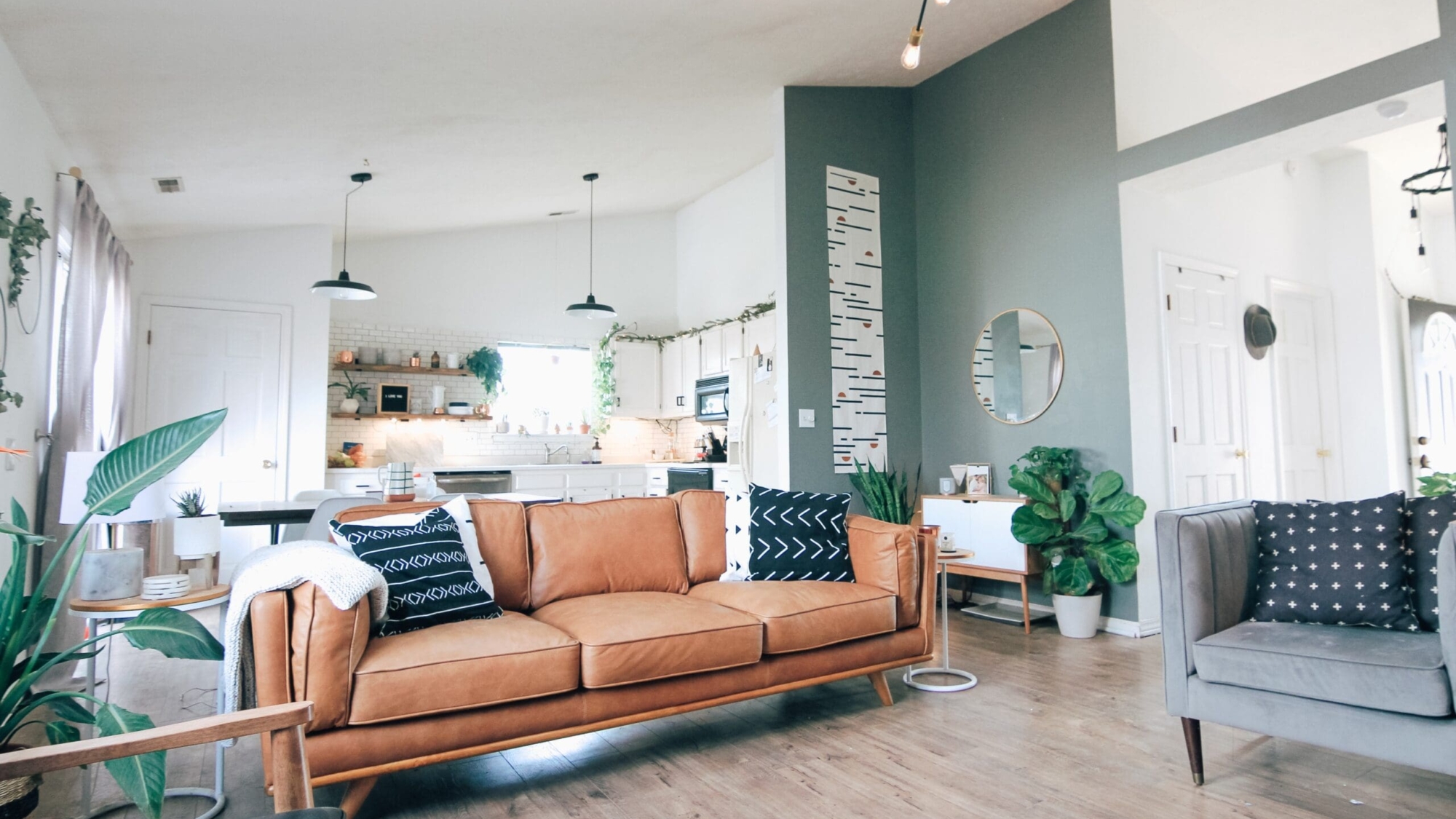 Hmo Licensing Explained