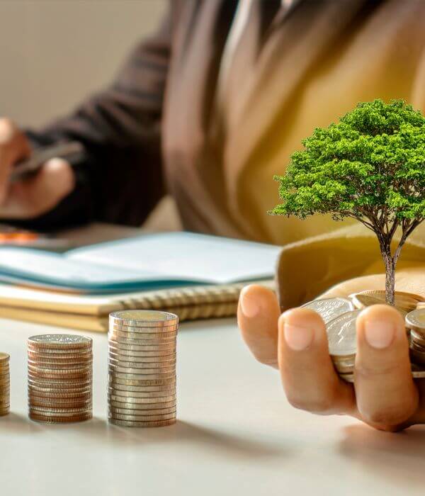Portfolio Expansion For A First Time Investor